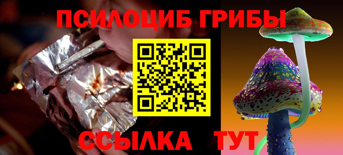 Галлюциногенные грибы Psilocybine cubensis Донской